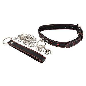 Bad Kitty Collar and Leash