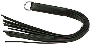 Leather Whip - bič