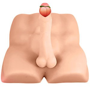 Blush X5 Rough Rider, sexy pánské torzo s penisem